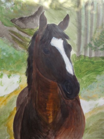 Pferd im Wald 36cm x 48cm auf Papier